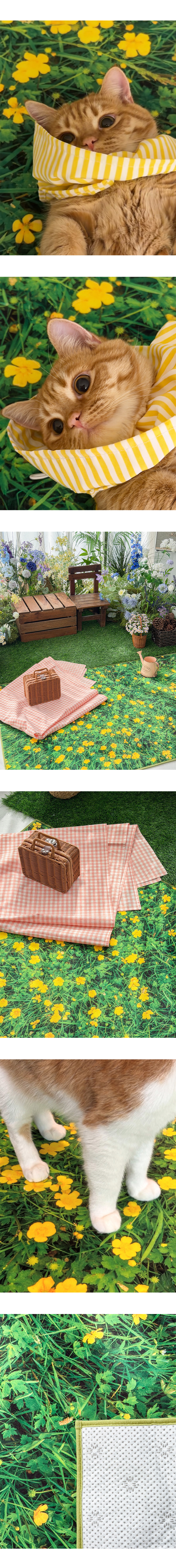 Buttercup field, Landscape rug