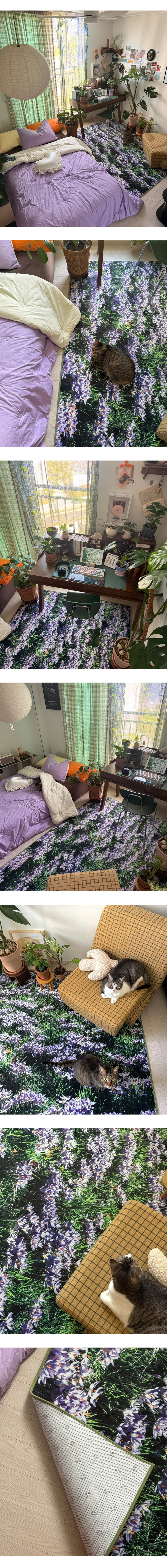 Violet crocus garden landscape rug