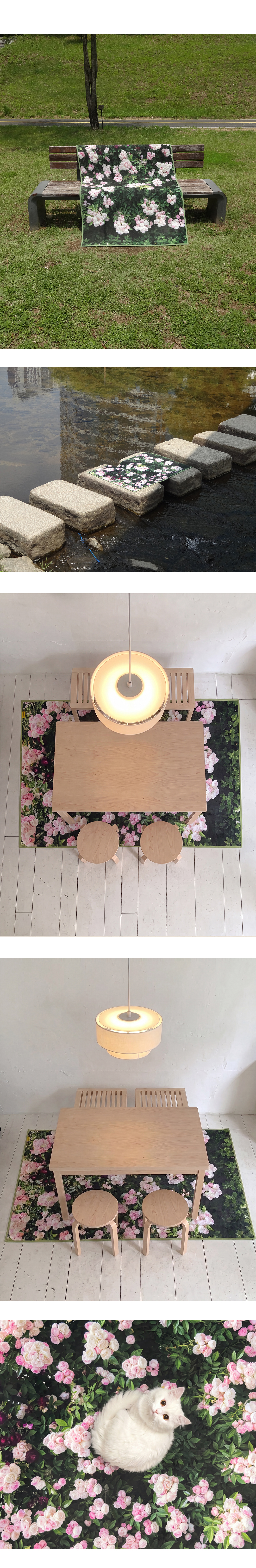 Blush rose rug