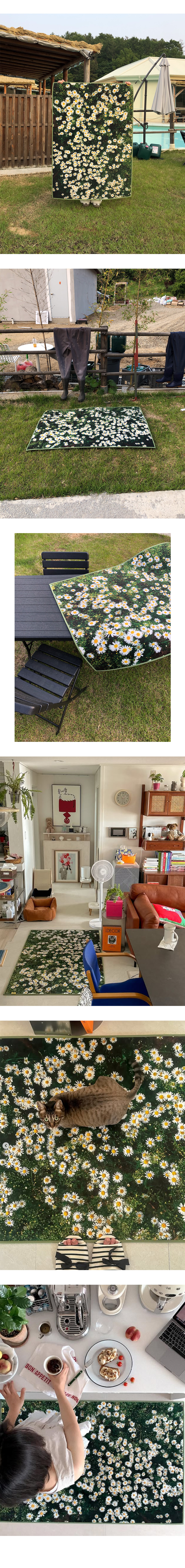 Whisper of the Daisy, Landscape rug