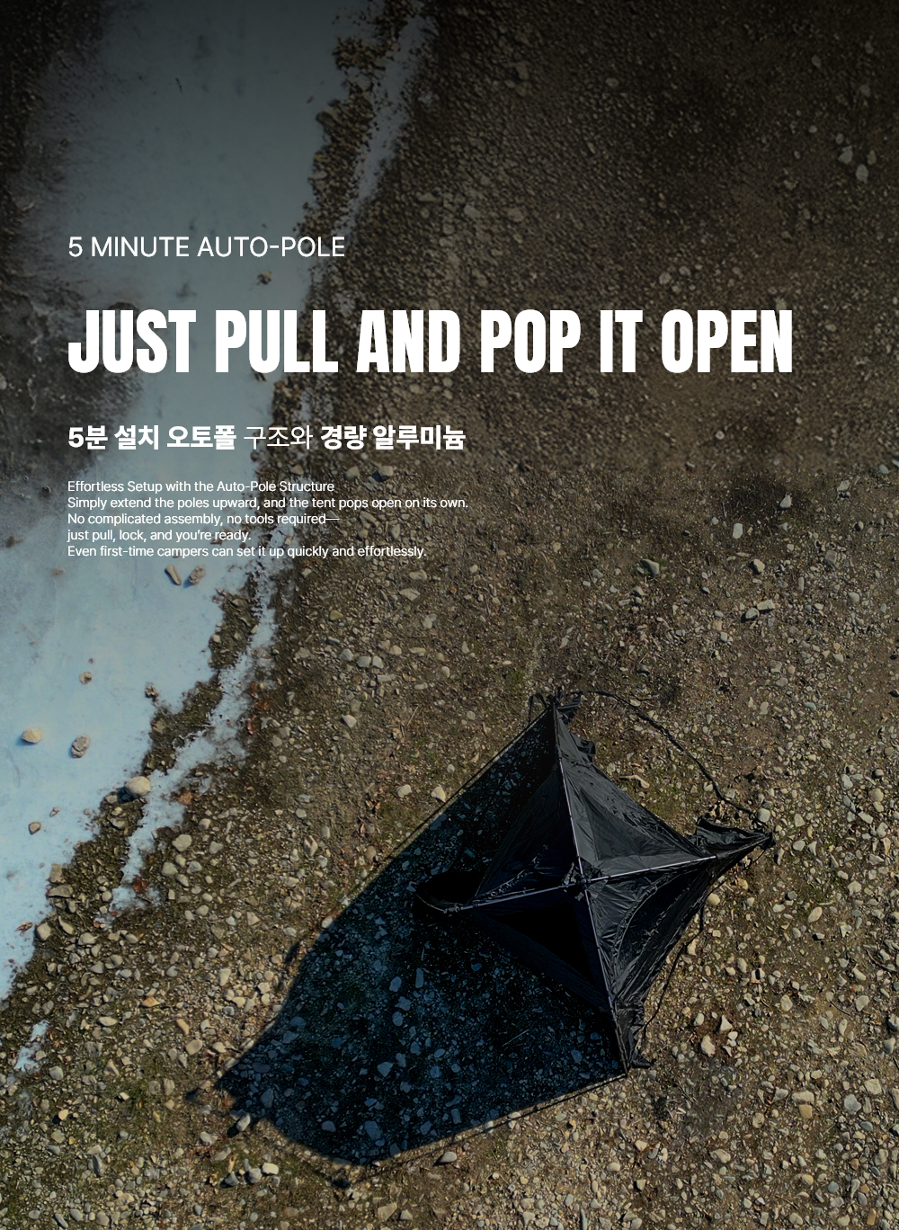 델피누스 익스텐션