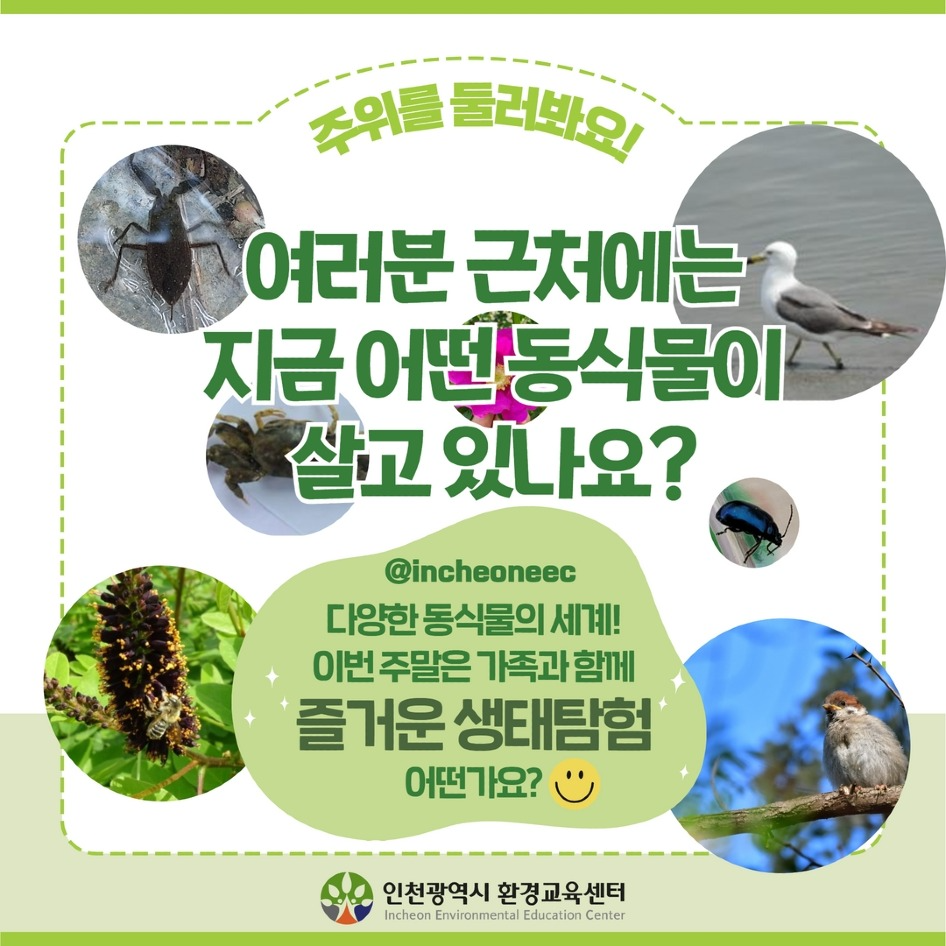 [인스타용] 2022 인천 바이오블리츠 활동사진6.jpg