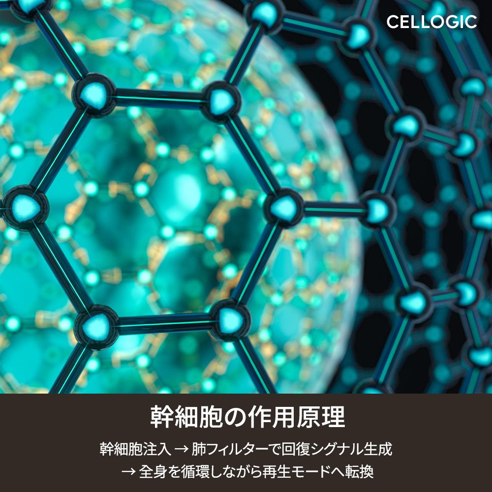 韓国のリフティング施術は、肌状態や顔の構造に基づき個別にカスタマイズされます。