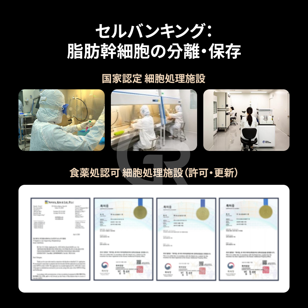 低侵襲の脂肪吸引により、効率的に幹細胞を採取することが可能です。