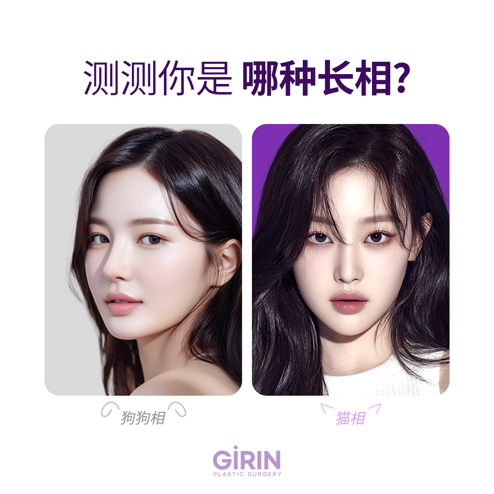 对比小狗眼与猫眼的不同印象。