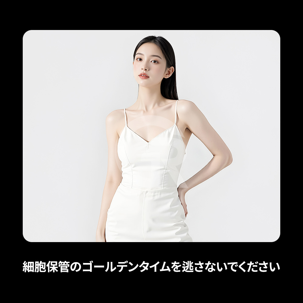 管理された保存環境は、幹細胞の長期的な安定性と品質維持において重要な役割を果たします。