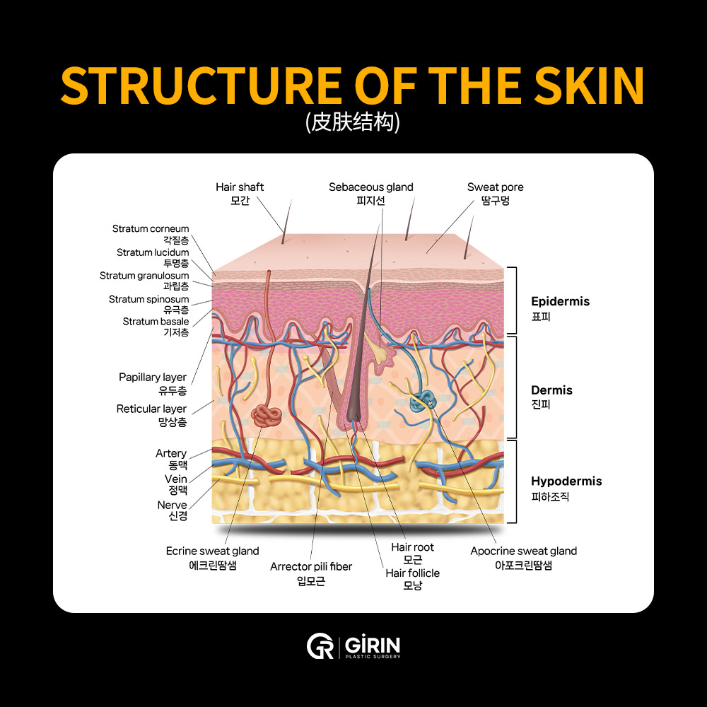 Materials and Design》发表我校在“纳米纤维水凝胶敷料”领域的论文-小黄书, image size:1000x1000