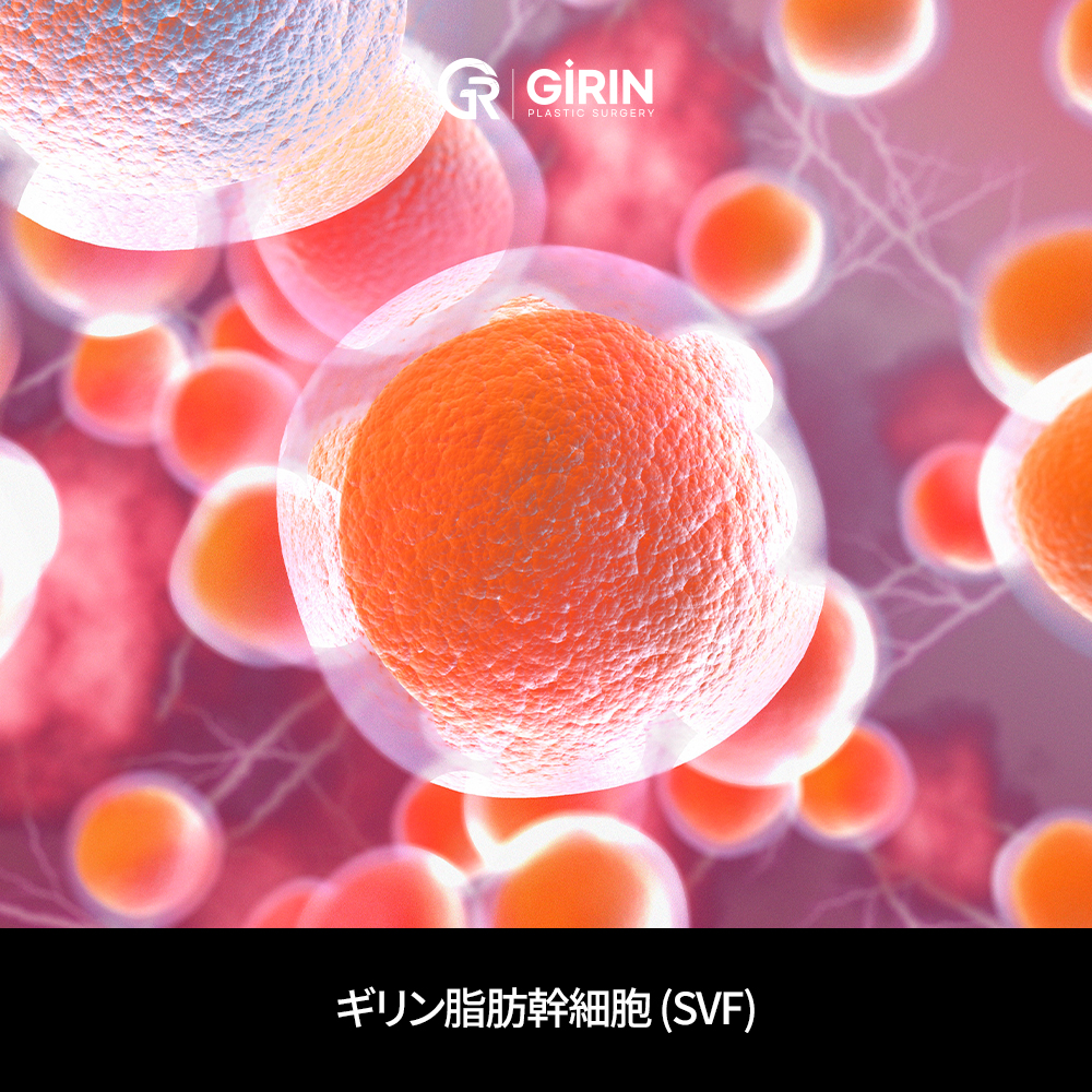 頭皮・毛髪環境ケアを目的としたプログラム