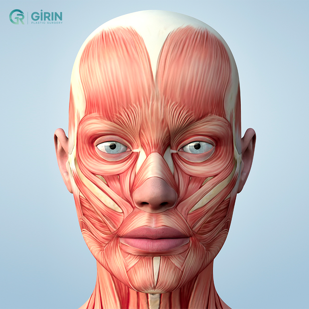 Контур лица стал четче и моложе