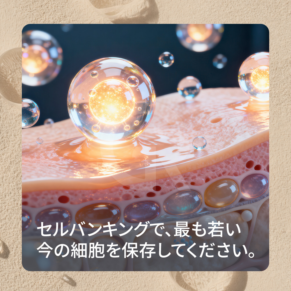 長期的なアンチエイジング結果は、皮膚環境の回復によって得られます。