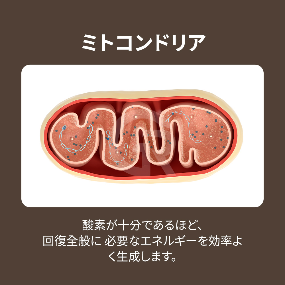 ヘンリーの法則により酸素は血液中に効率よく溶解します