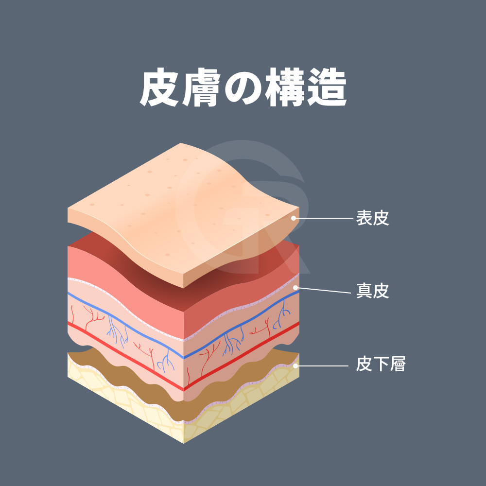 二重あごの原因となる軟部組織を的確に調整