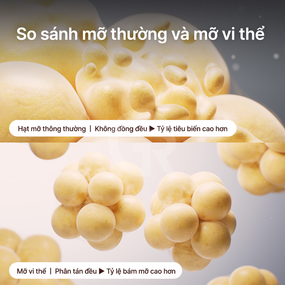 Sự hình thành mạch máu mới đóng vai trò quan trọng trong khả năng sống sót của mỡ được cấy.