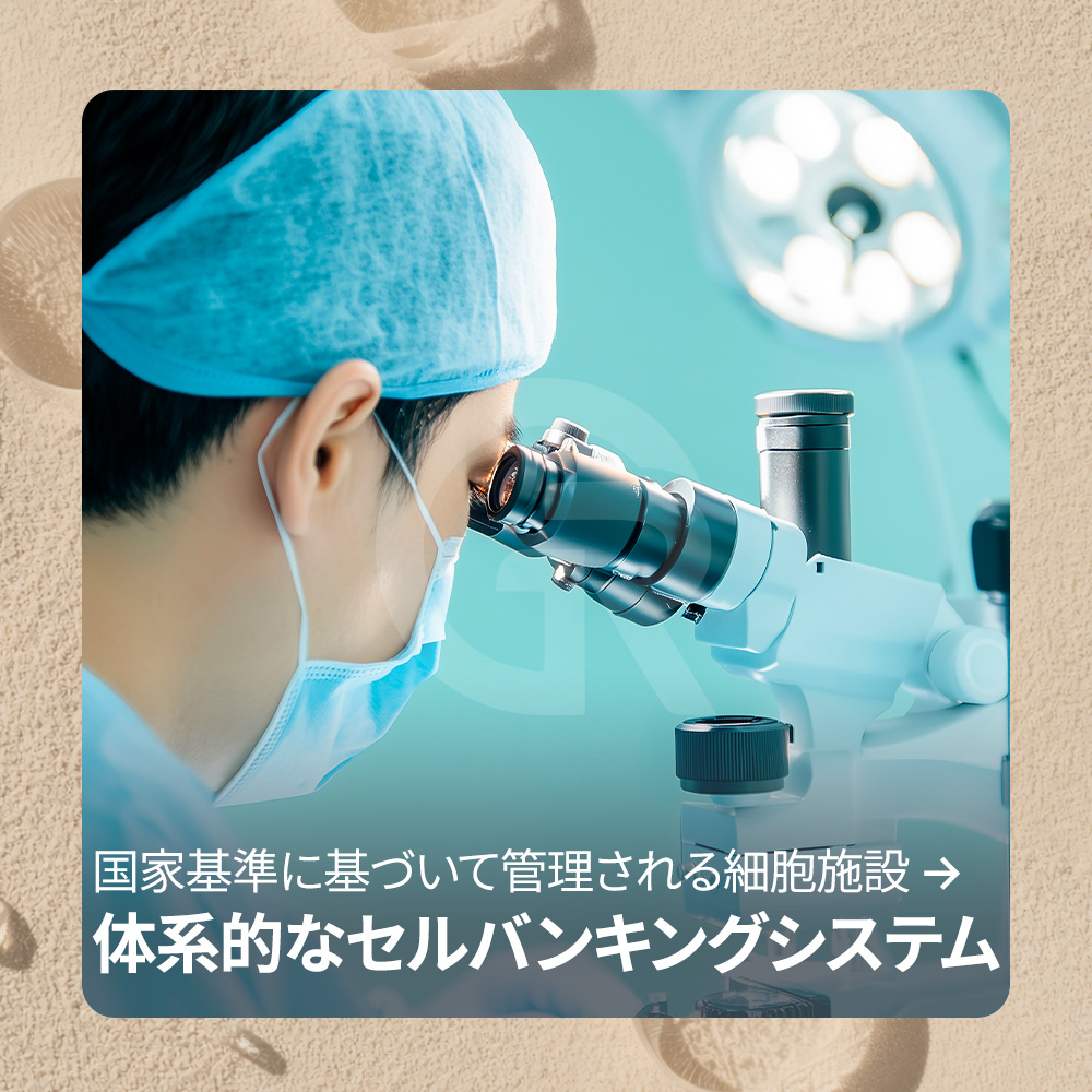 皮膚密度の改善は、若々しい印象を作る重要な要素です。