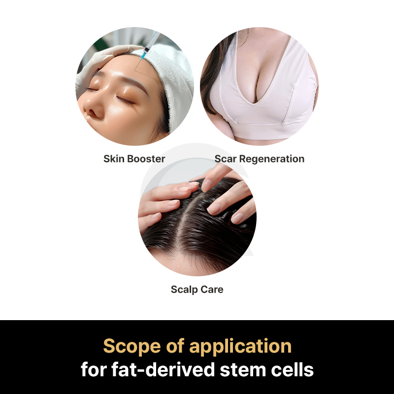 Autologous stem cell therapy uses a patient’s own tissue, reducing immune-related variables but requiring strict medical oversight.