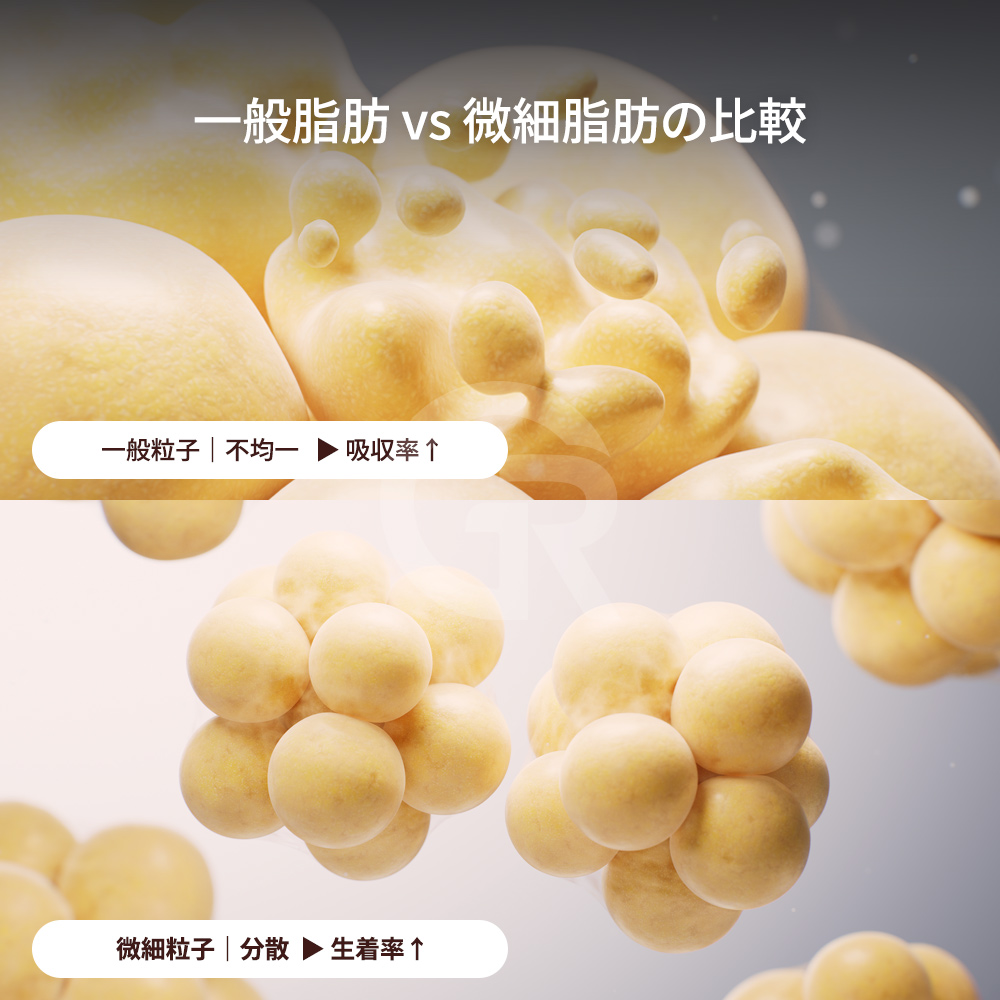 新しい血管が早く形成されるほど、移植された脂肪が生き残る可能性が高まります。