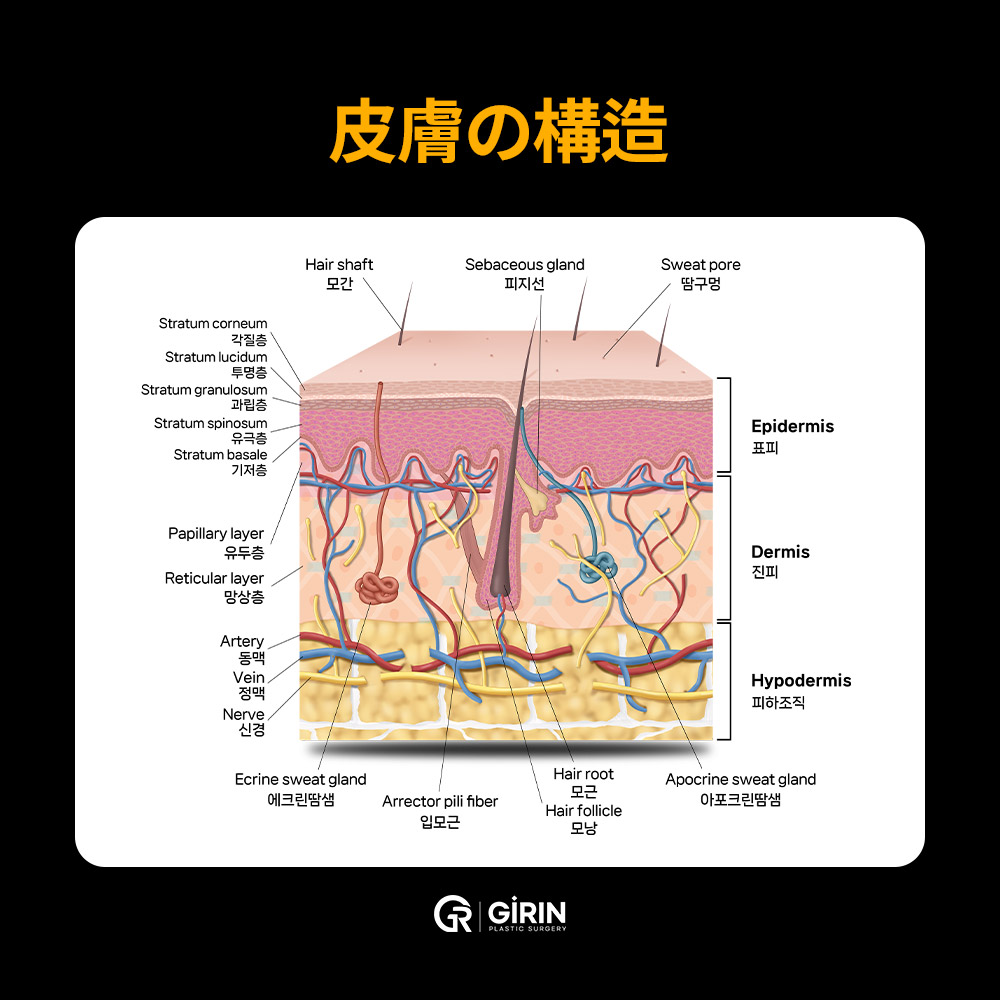在干细胞与抗衰老领域获得多项大奖并取得KIMA认证的韩国医院。