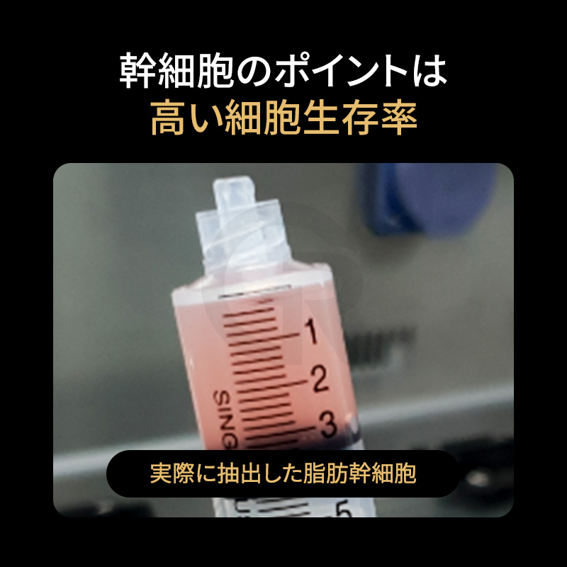 フェイスリフト後、剥離部位の回復環境を支える目的で幹細胞注射が検討されることがあります。