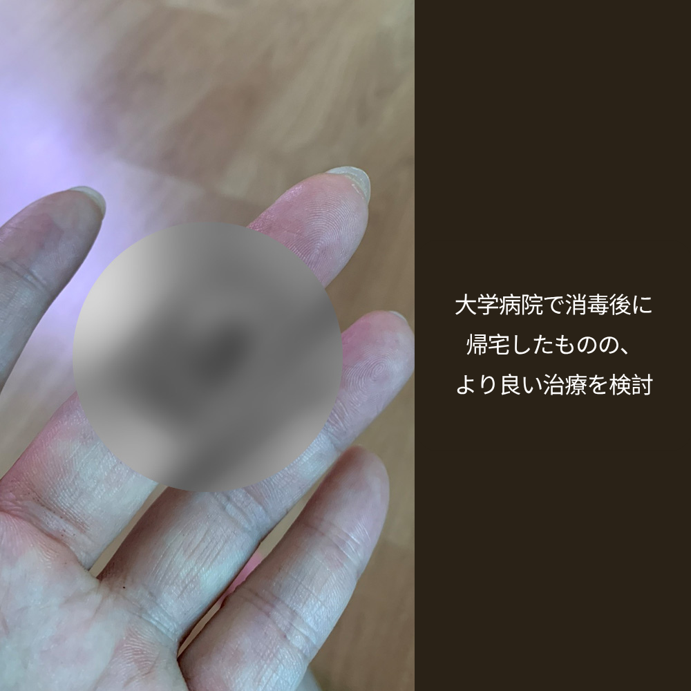 b2c6bb06fa18c.png