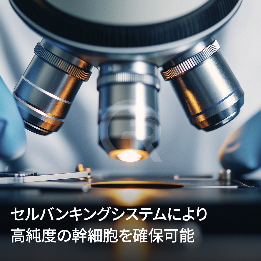 微細脂肪注入と幹細胞を組み合わせることで、脂肪が生着しやすい組織環境づくりをサポートします。