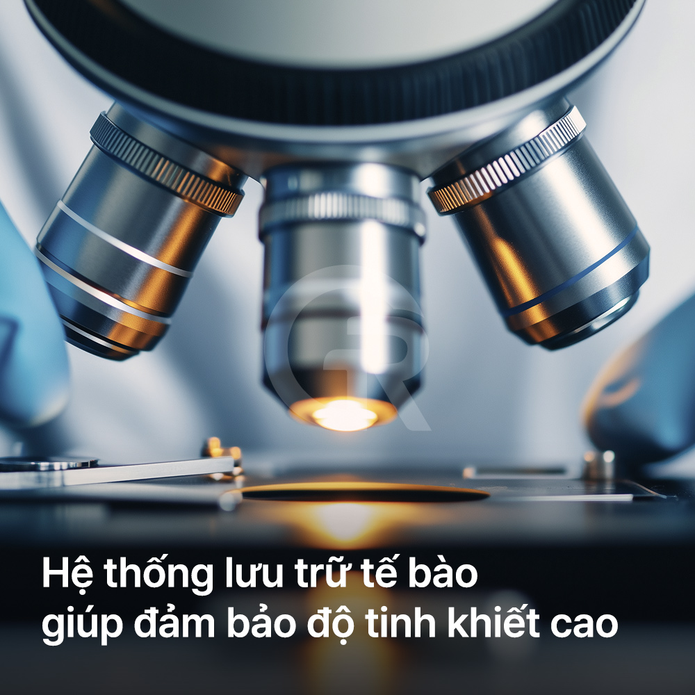 Kết hợp mỡ vi mô với tế bào gốc giúp cải thiện môi trường mô để mỡ có thể sống sót tốt hơn.