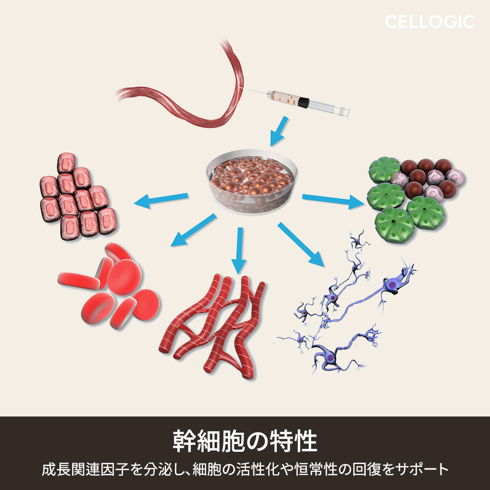 江南のプライベート施術環境は、より快適で集中できる治療体験を提供します。