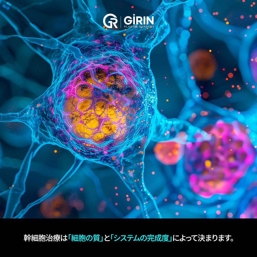 免疫バランスを支える調整作用