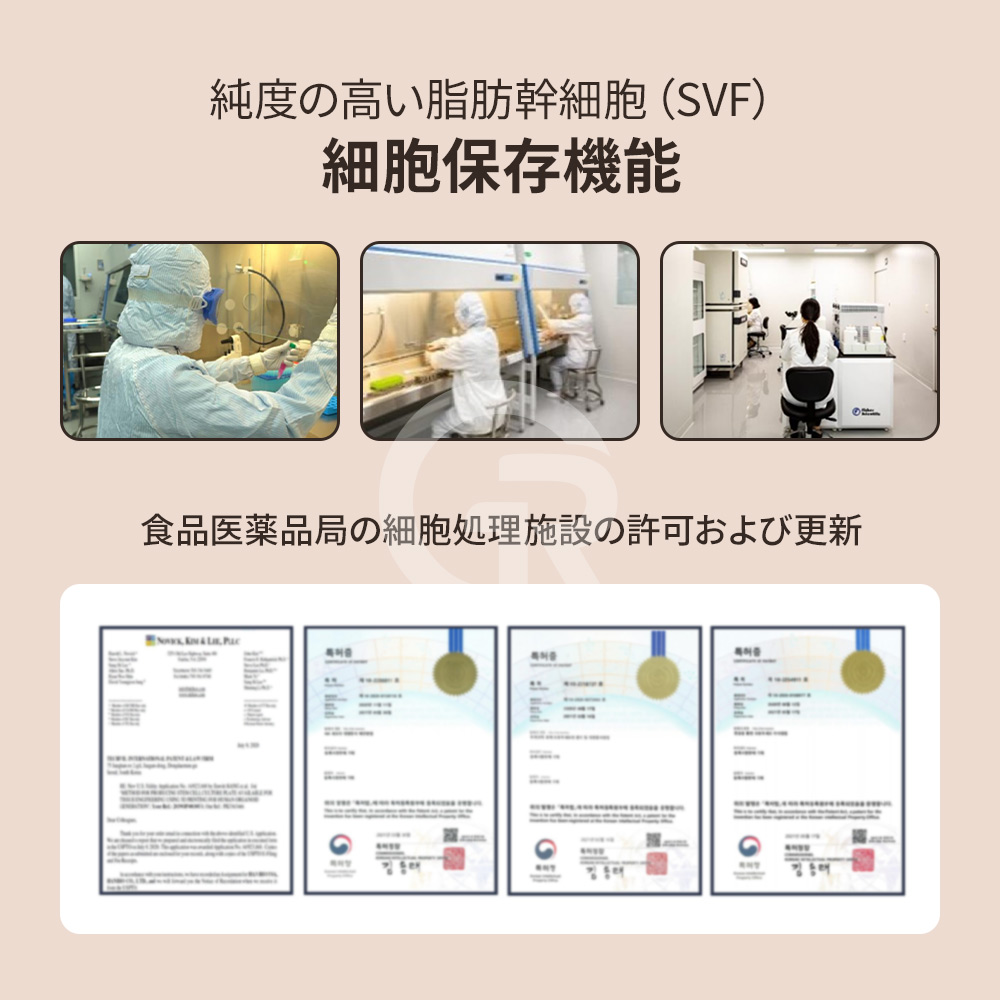 長期間休止していた毛包でも、環境が整えば再び成長期へ戻る可能性があります