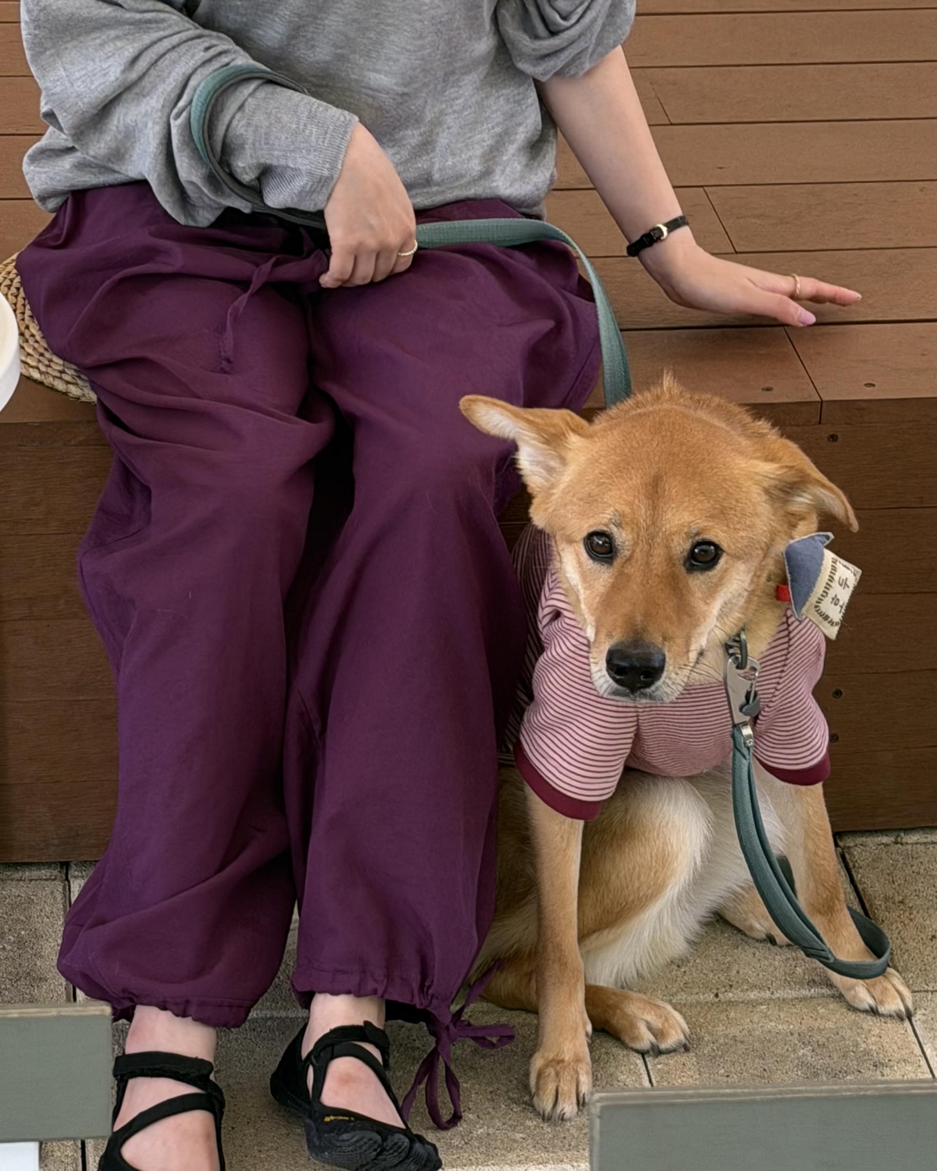 boat linen pants (purple/green)