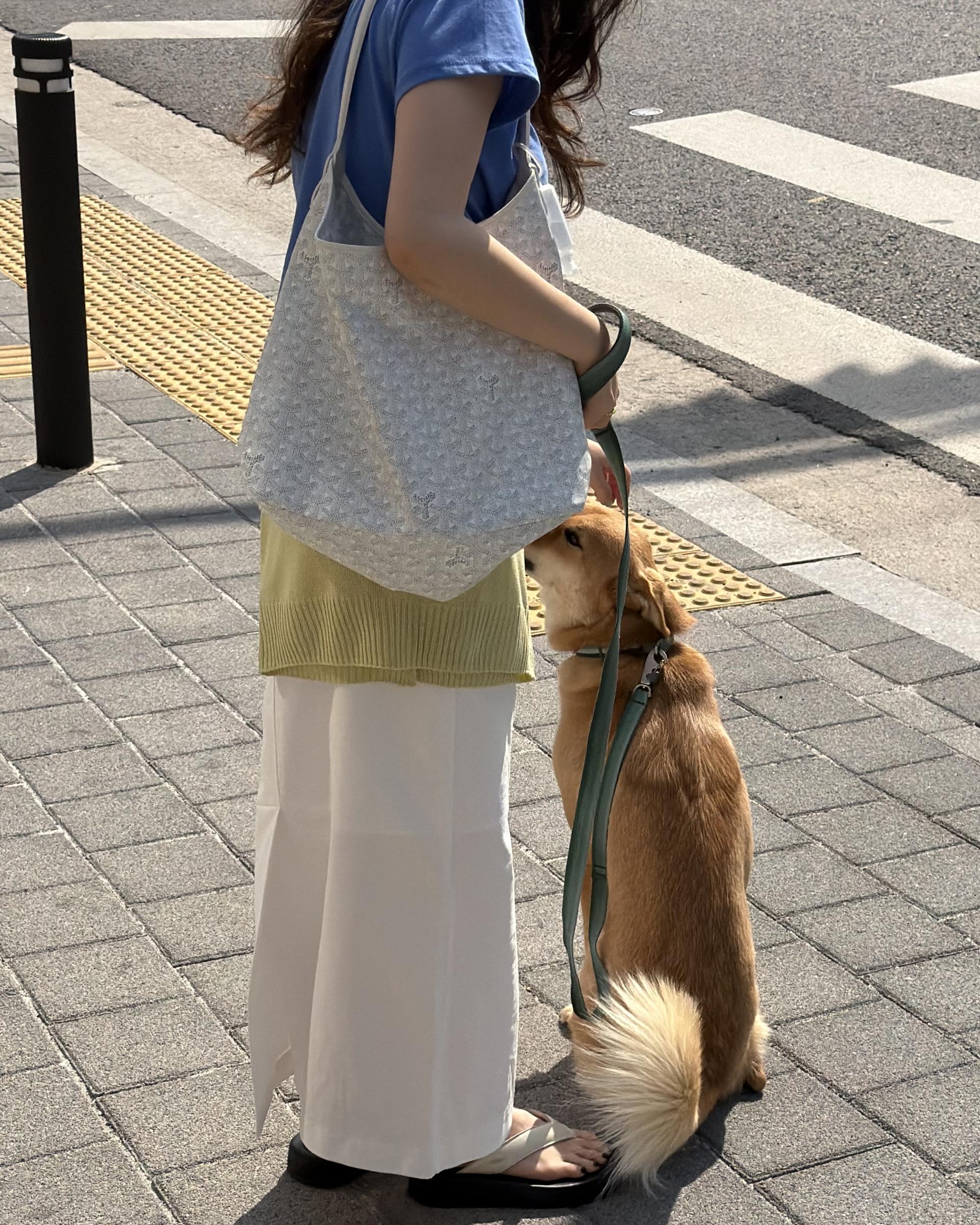 creme cotton skirt (beige/white) 완