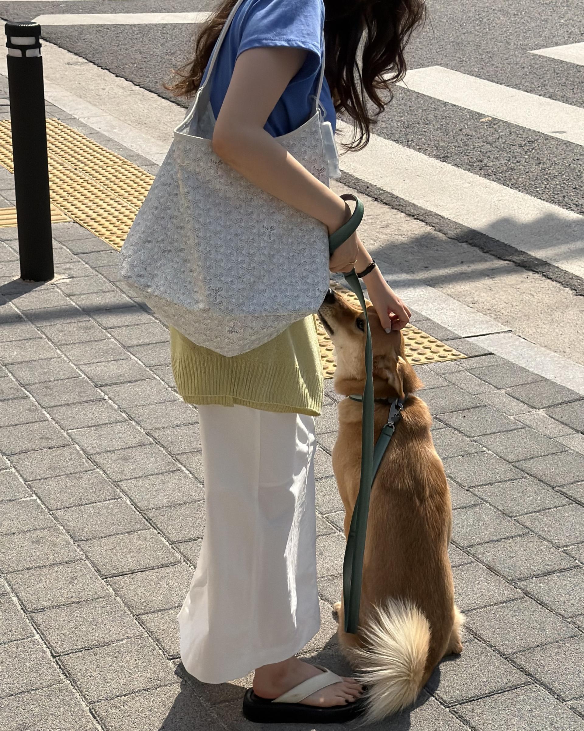 creme cotton skirt (beige/white) 완