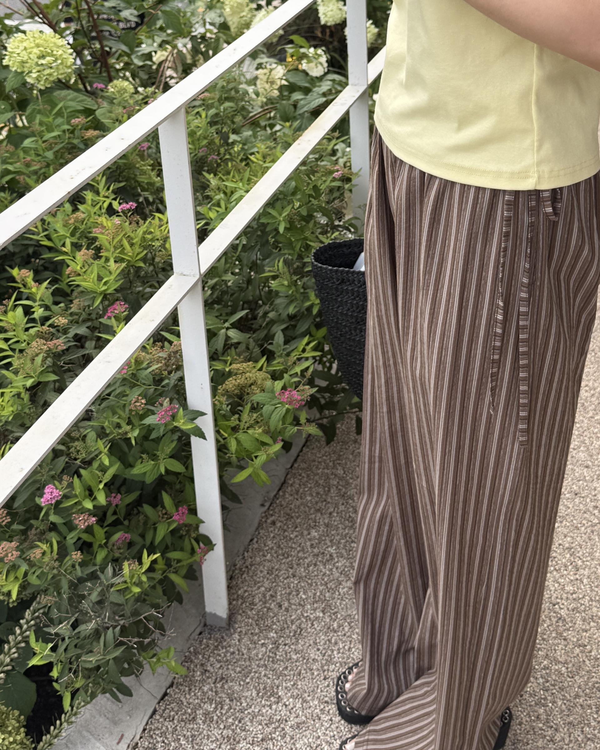 zinny stripe pants (blue/brown)