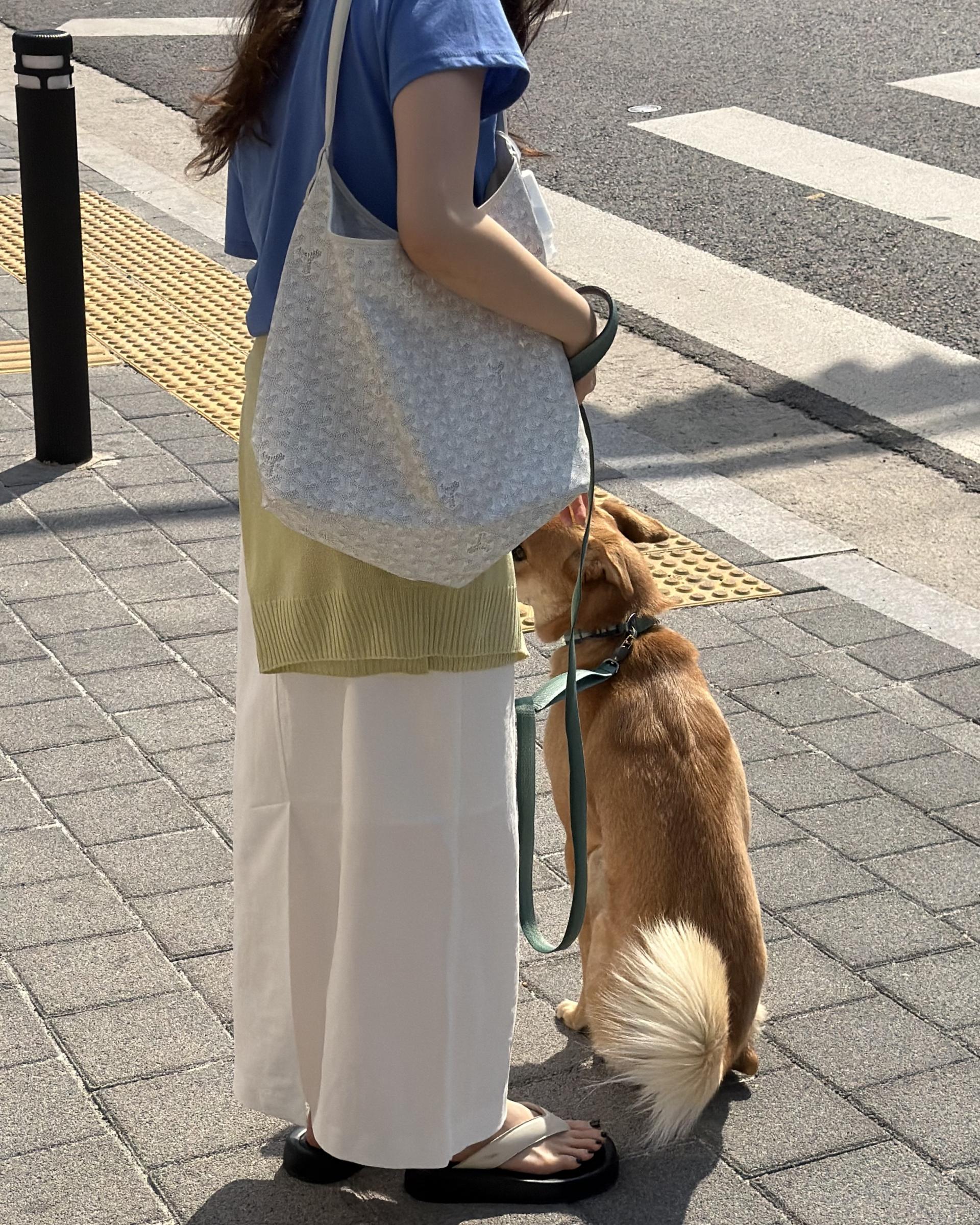 creme cotton skirt (beige/white) 완