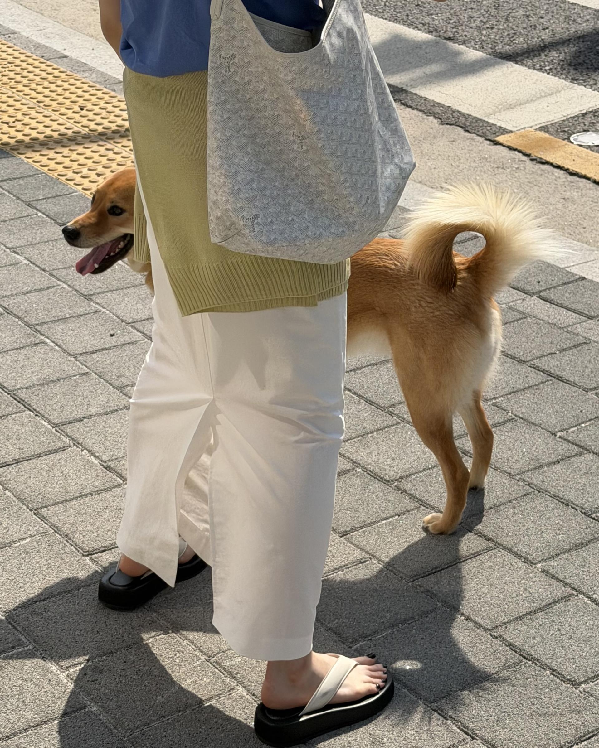 creme cotton skirt (beige/white) 완