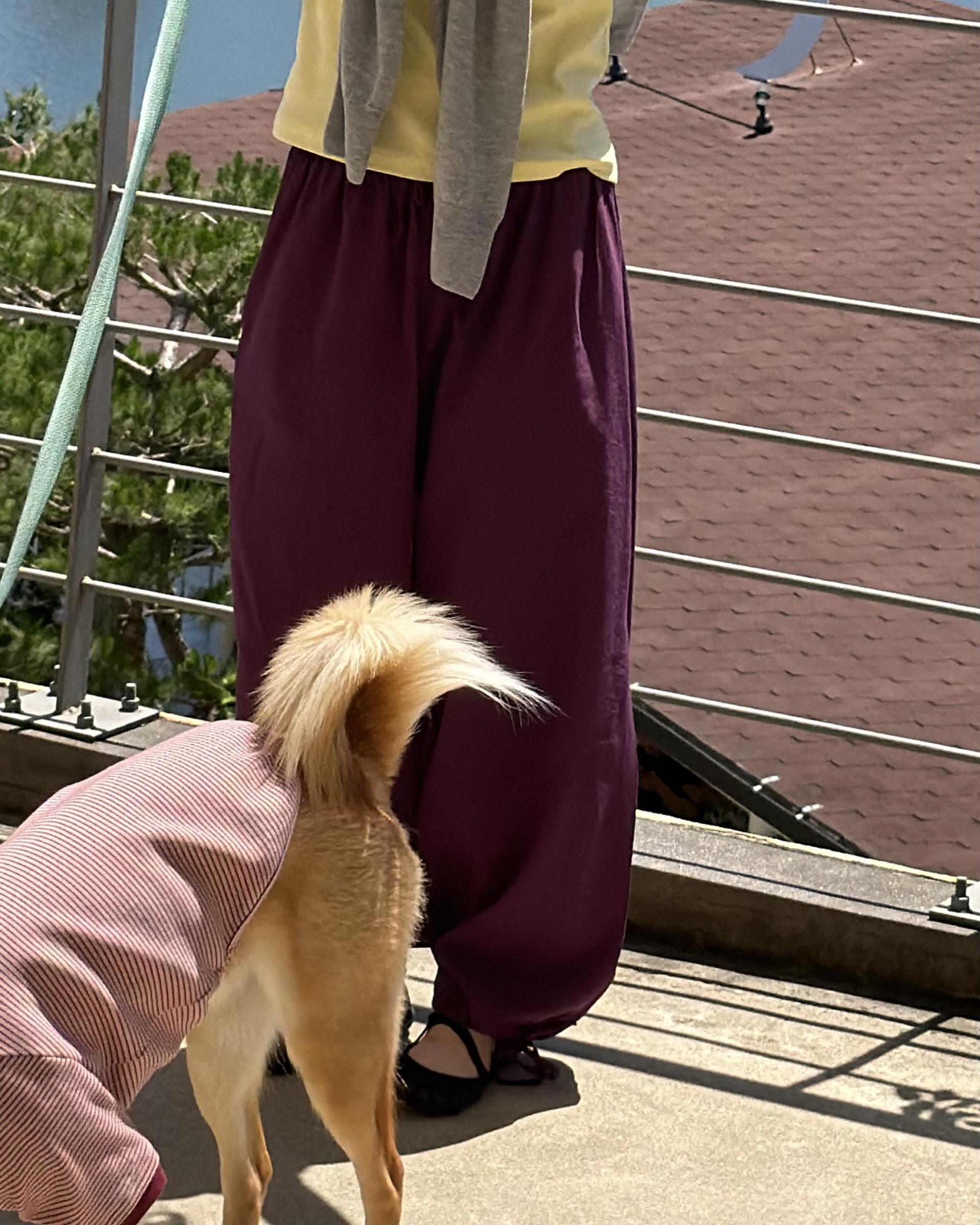 boat linen pants (purple/green)