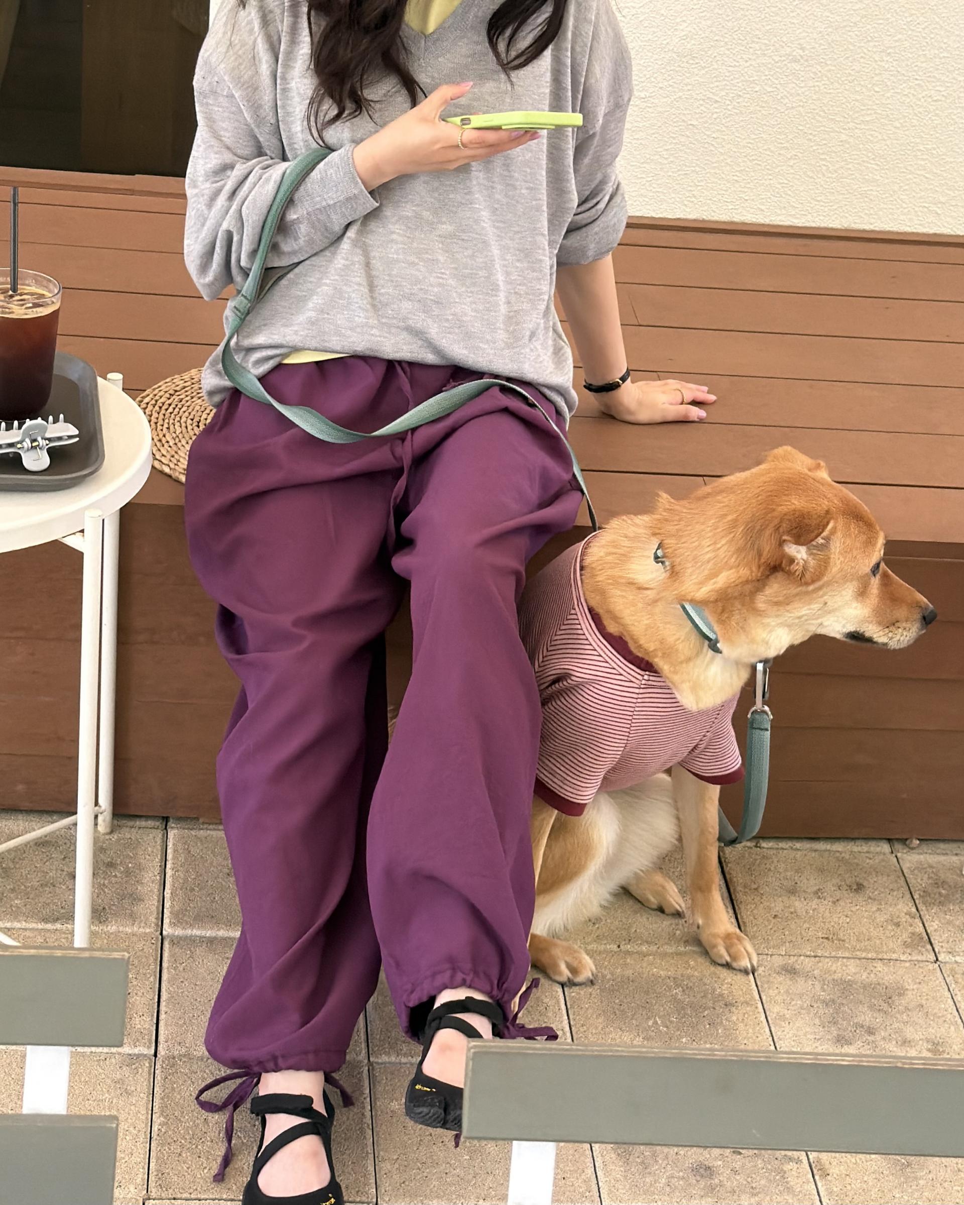 boat linen pants (purple/green)