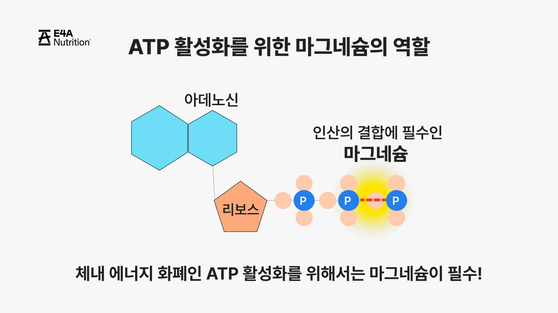 러너에게 마그네슘이 필요한 이유 feat.마그네슘 3.jpg
