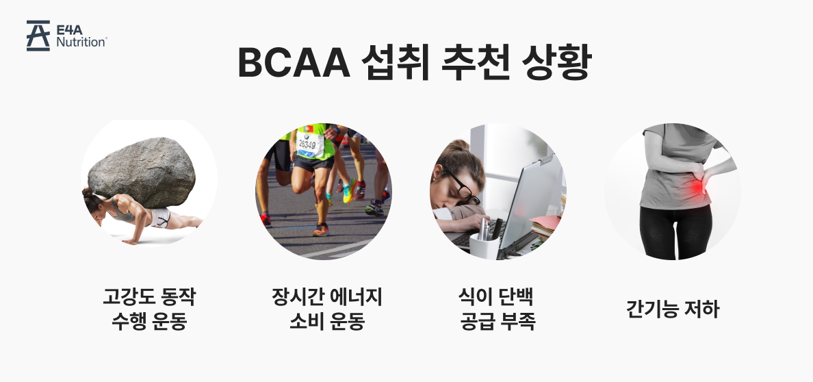 BCAA섭취추천 고강도동작수행 장시간에너지소비운동 식이단배공급부족 간기능저하 헬스 보디빌더 마라톤 유산소 파워리프팅 근력운동