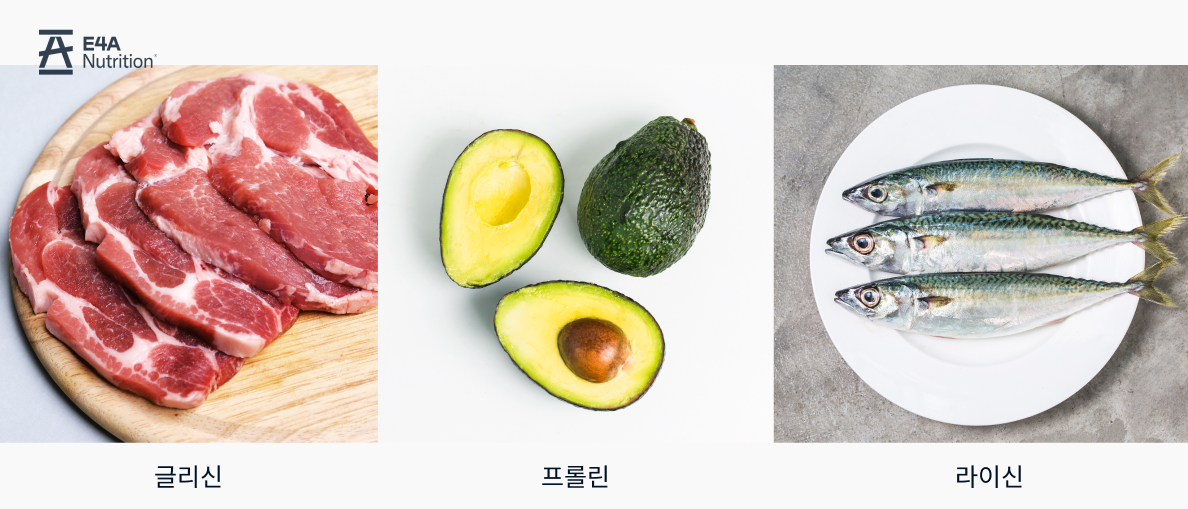 글리신 음식, 프롤린 음식, 라이신 음식, 아미노산 함유 음식, 필수아미노산, 아미노산 식품 , 육류, 아보카도, 고등어, 계란, 유제품, 참치, 연어, 녹황색 채소