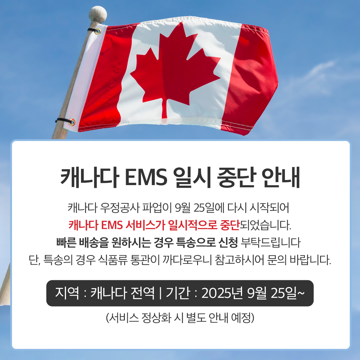 e94dd5a36951a.png