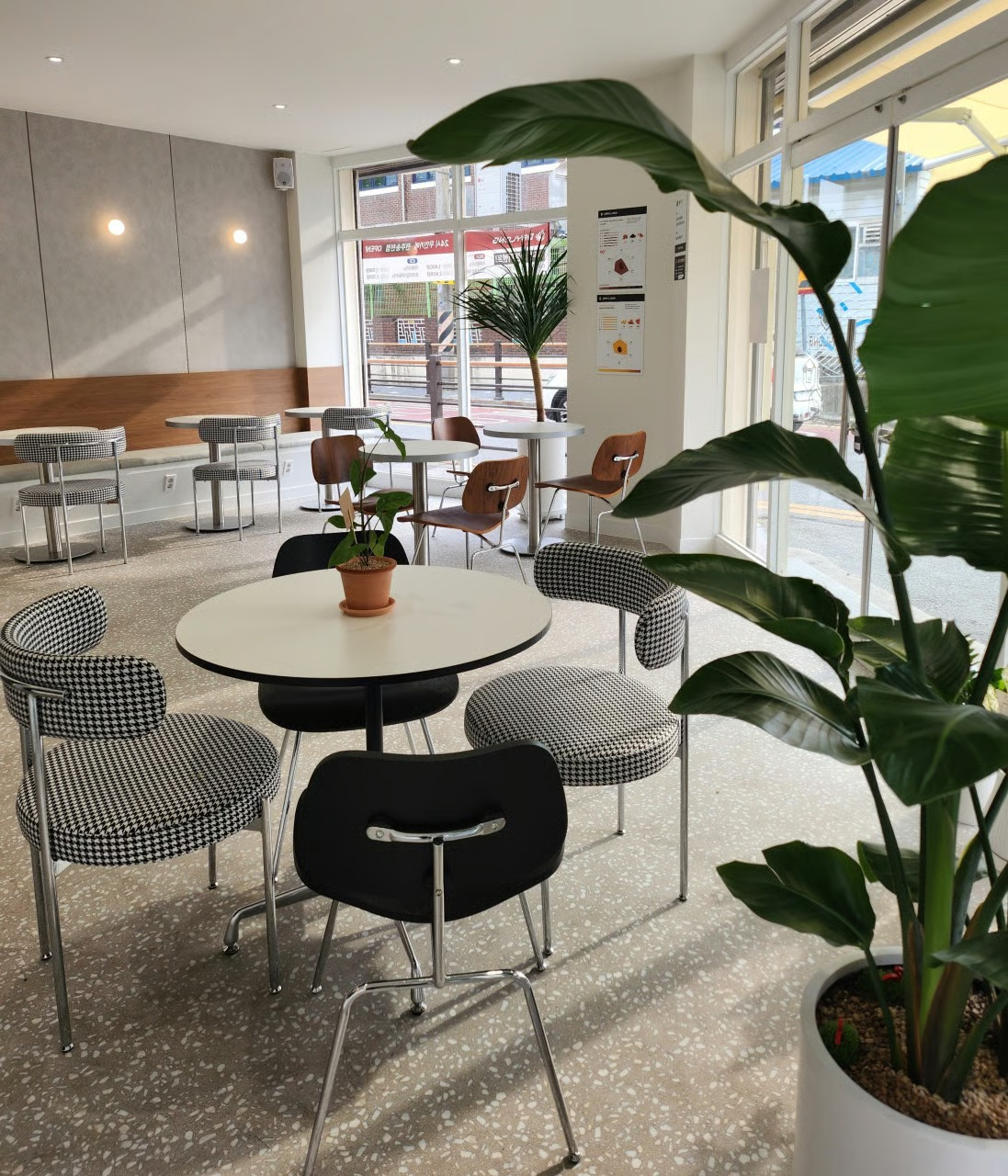 데이롱 카페 전주 송천점