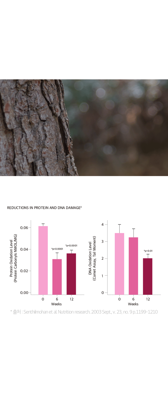 소나무 껍질 움직이는 이미지와 REDUCTIONS IN PROTEIN AND DNA DAMAGE 그래프 – 0·6·12주 단백질 산화(Protein Carbonyls NMOL/MG)·DNA 산화(Comet Assay, Tail Moment) 감소, * 출처 : Senthilmohan et al. Nutrition research. 2003 Sept., v. 23, no. 9 p.1199-1210