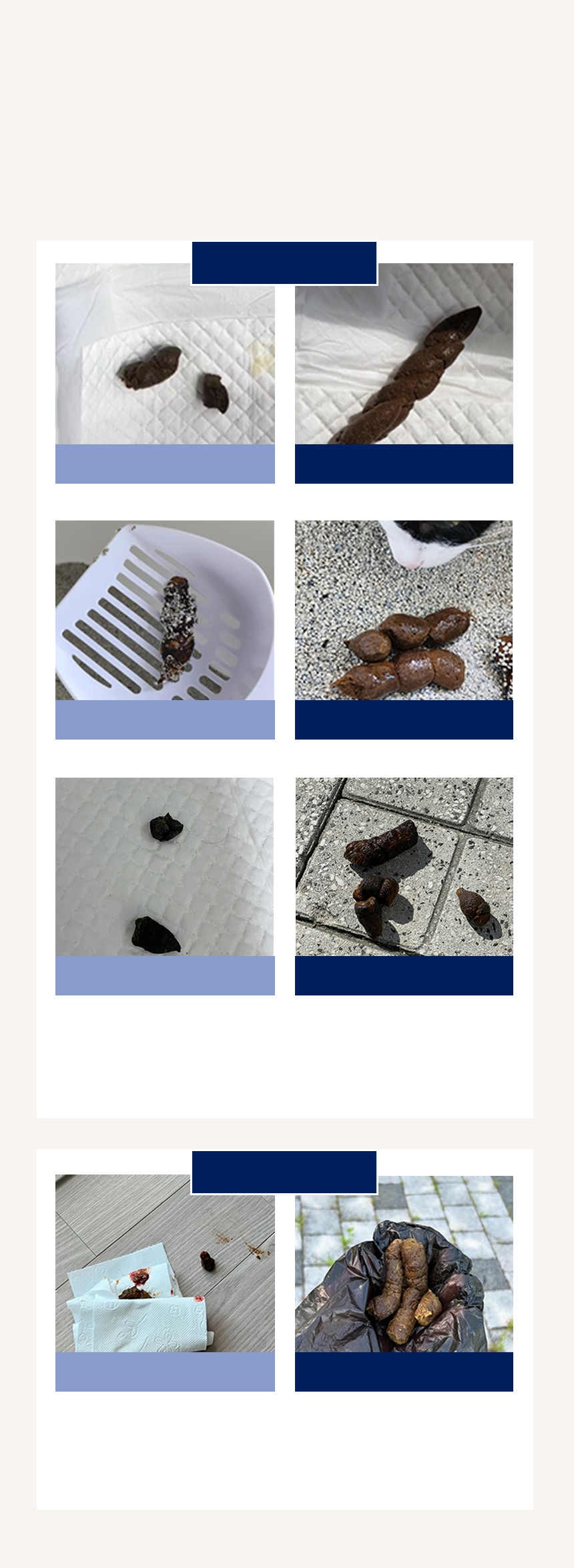 보호자 후기 – 급여 전·후 반려동물 변 상태 비교 사진
