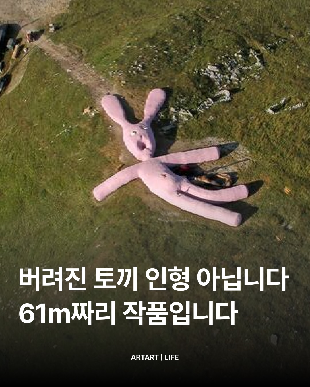 SnapInsta.to_709054296_18017804471845320_3908374336081164343_n.jpg