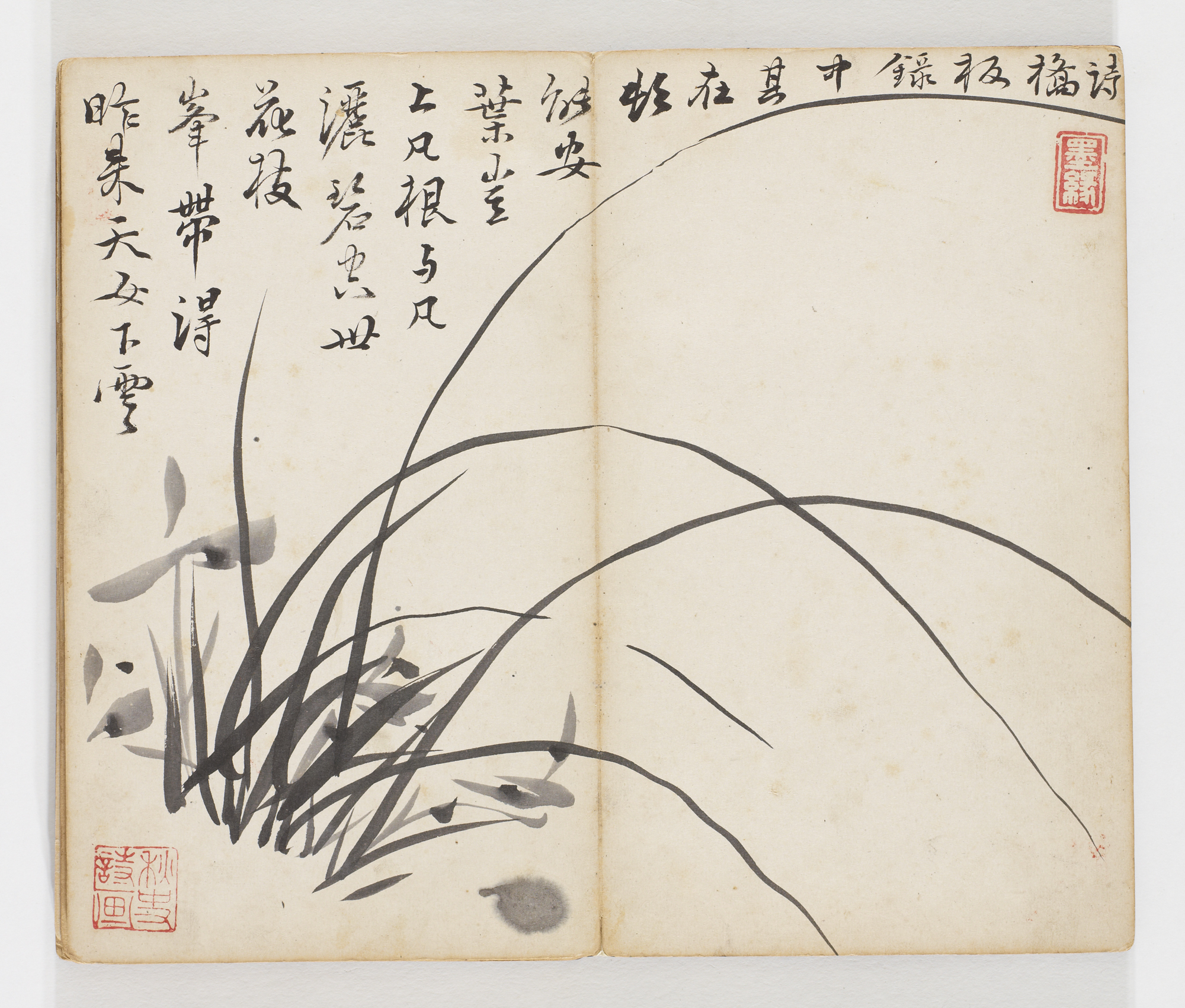 7686d28c43a64.png