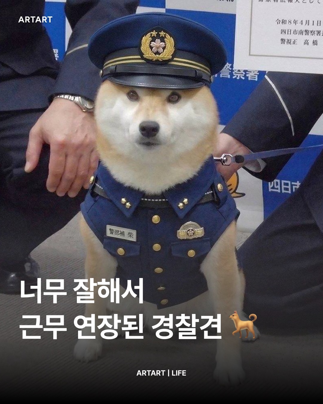 SnapInsta.to_659587453_18011011277845320_8025328485357902683_n.jpg