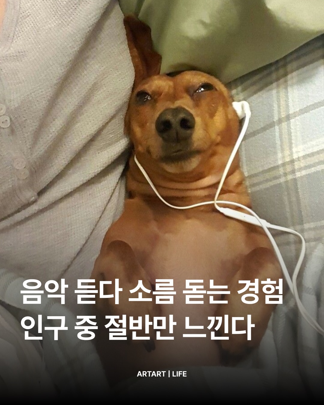 SnapInsta.to_682122248_18013513433845320_4679356507898982539_n.jpg