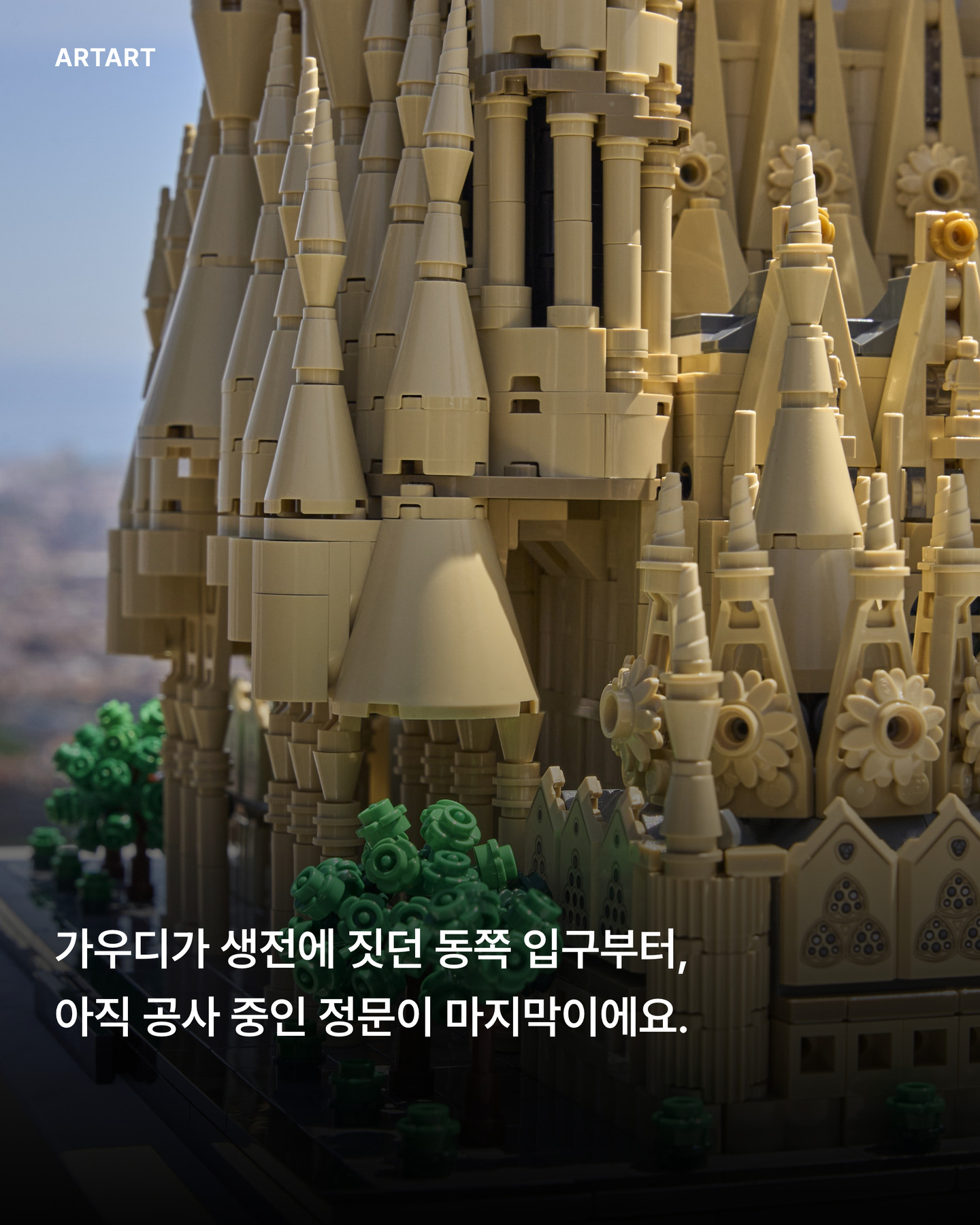 a53a3a6213f79.jpg