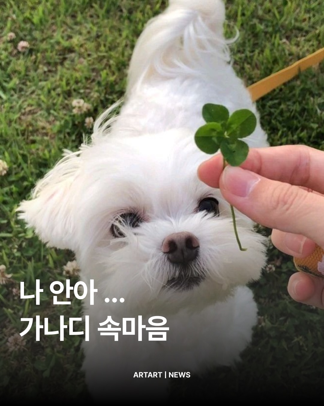 SnapInsta.to_686954814_18014814293845320_8591541930055096219_n.jpg