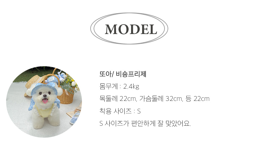 Summer Lemon Top [S-5XL] 2차 복제